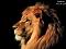 آواتار reza.22